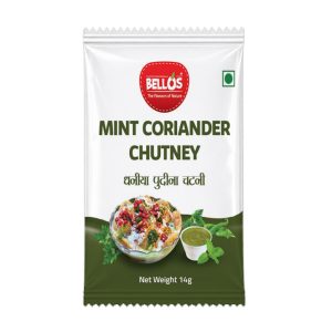Mint Coriander / Dhaniya Pudina Chutney 14 g Sachet